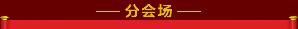 分会场