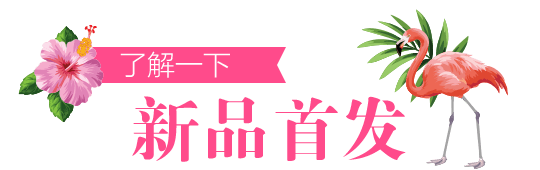 新品首发