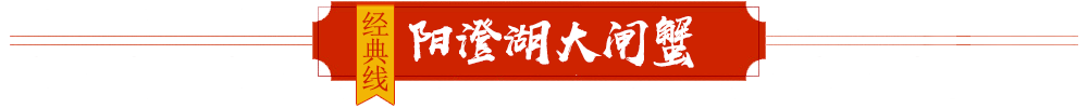 阳澄湖大闸蟹