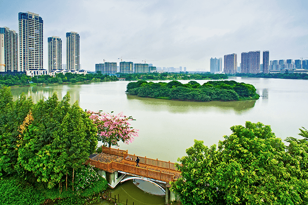 绿岛湖湿地公园