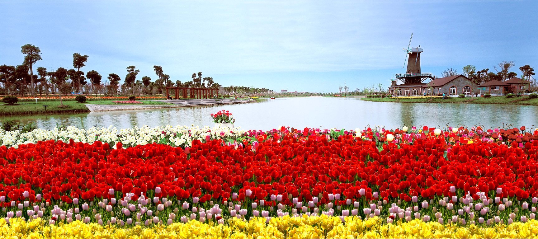 上海鲜花港_北京国际鲜花港_罗马柱鲜花