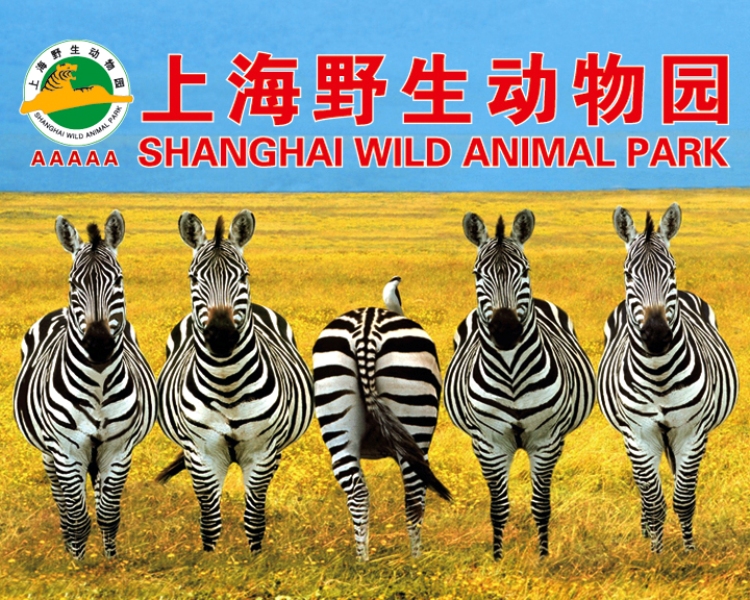 上海动物园门票图片