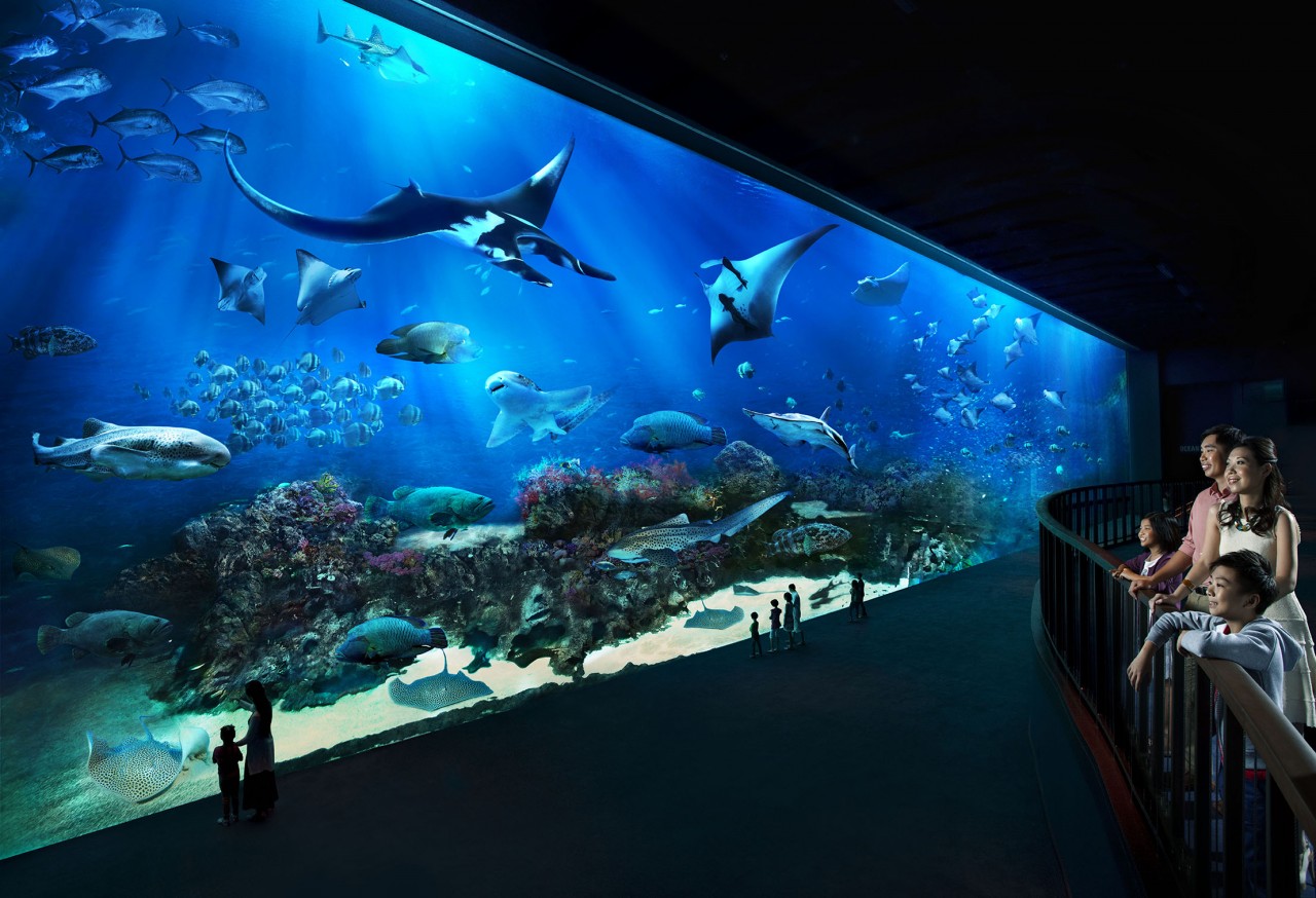 2023上海海洋水族馆游玩攻略,短暂的旅行就这样结束了，以...【去哪儿攻略】