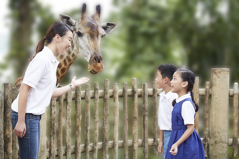 新加坡動物園